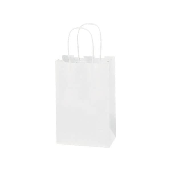 Bsc Preferred 5-1/2 x 3 1/4 x 8-3/8'' White Paper Shopping Bags, 250PK BUY00030892 - main